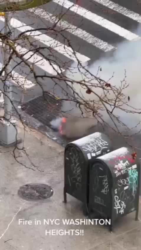 Destroying Dumbs in NYC