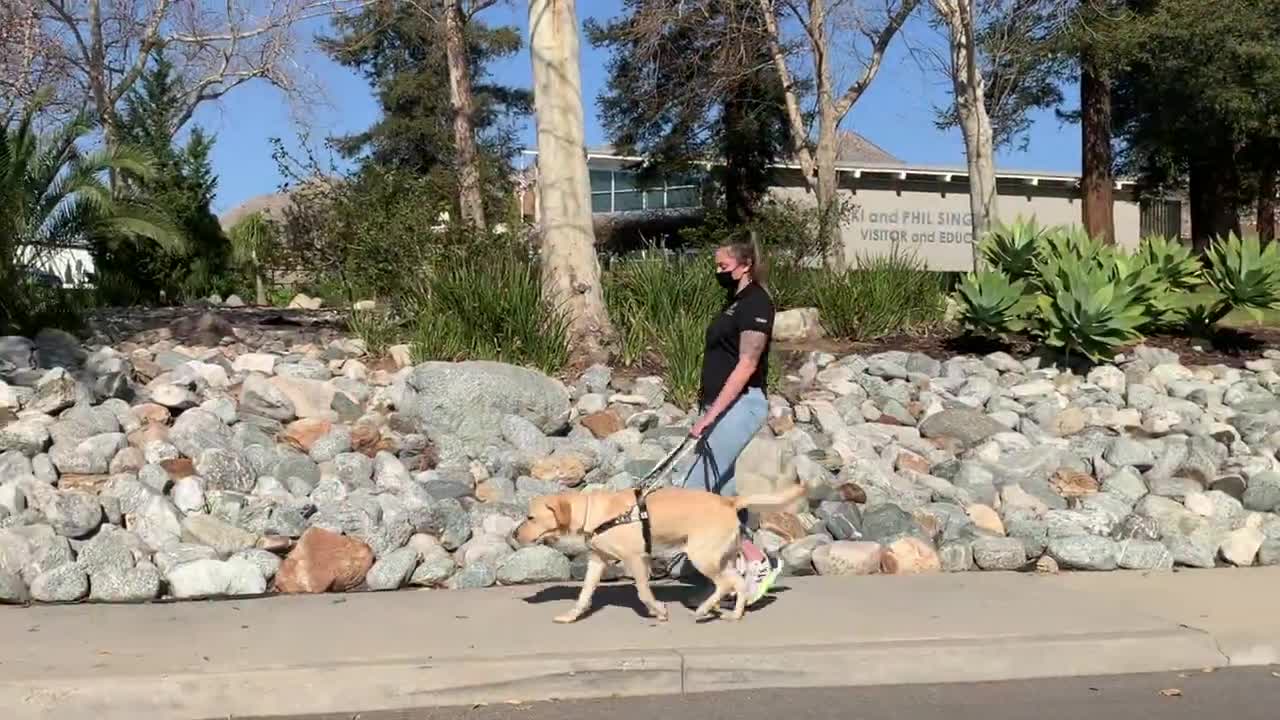 Guide Dogs of America Training Department