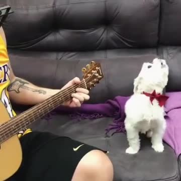 SINGING DOG WITH DADDY THE GUITARIST.mp4