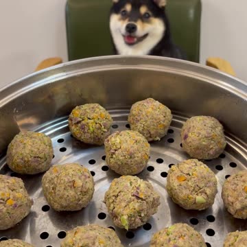 Manyu ethging time,dog spa asmr (with headphones) #001