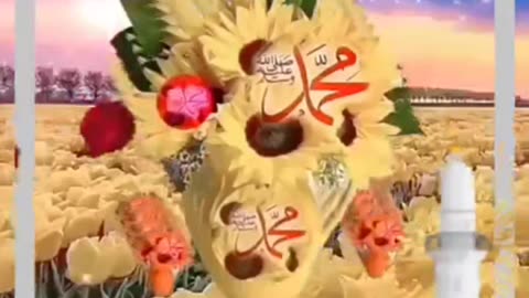 #Islamic status#morning status