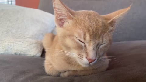 Designated loafing area