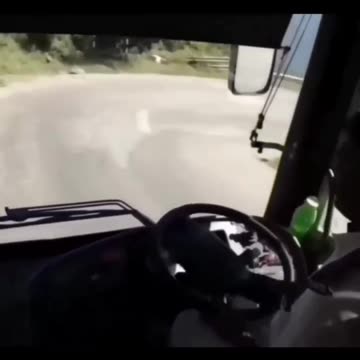 Respect🤯😱💯 || Even lions are shocked! 😎 || #Respect #Respectshorts