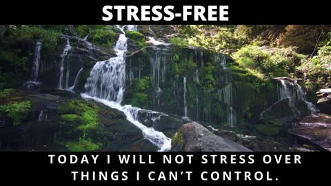 Tip for A Stress Free Life