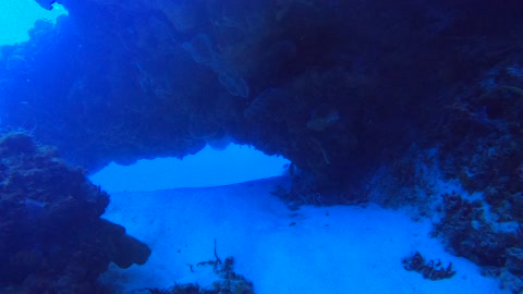 Cozumel SCUBA Diving Santa Rosa Wall Tunnels