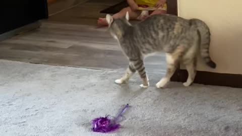 Kid and Cat Get Startling Introduction