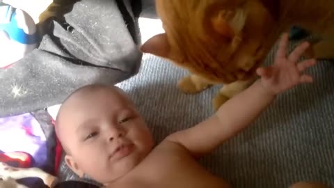 Playing with babies😹😹😹😹😹😹