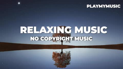 Relaxing Music | Sleeping, Meditation, Stress Relief | [6852] ⭐️