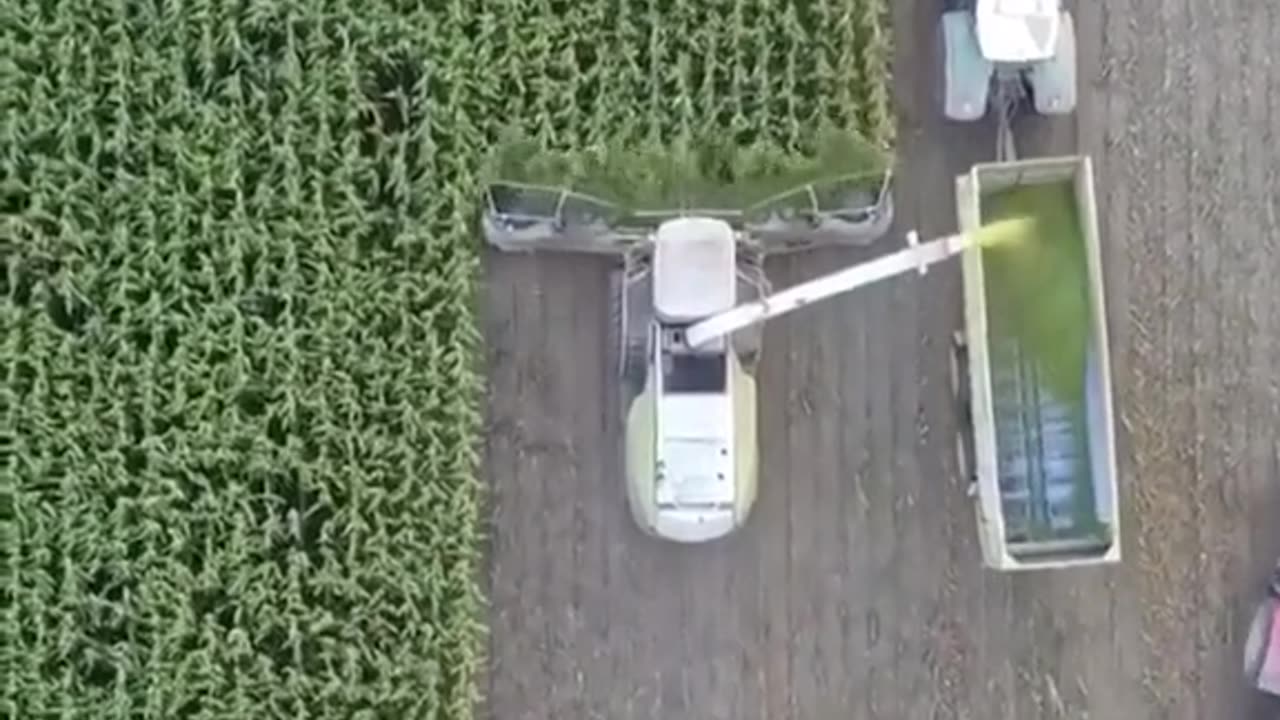 Skilled Harvesting!! #skillsshowcase