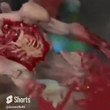 McDicken, A, Round. Doom Eternal. Ep. (1)? Can't believe we're talking about this. #doometernal