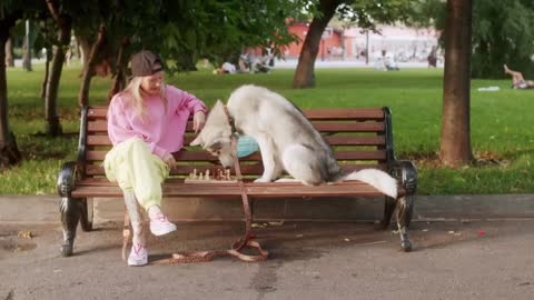 Woman playing Chess with dog !