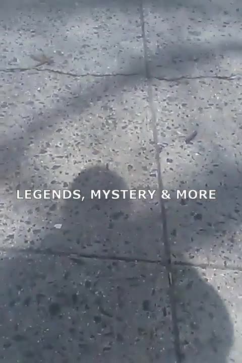 LEGENDS, MYSTERY & MORE ON SPOTIFY