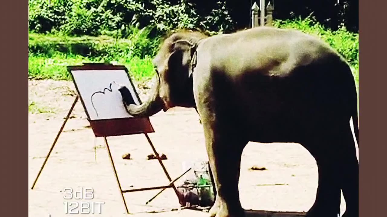 This video describe the art of elephant's