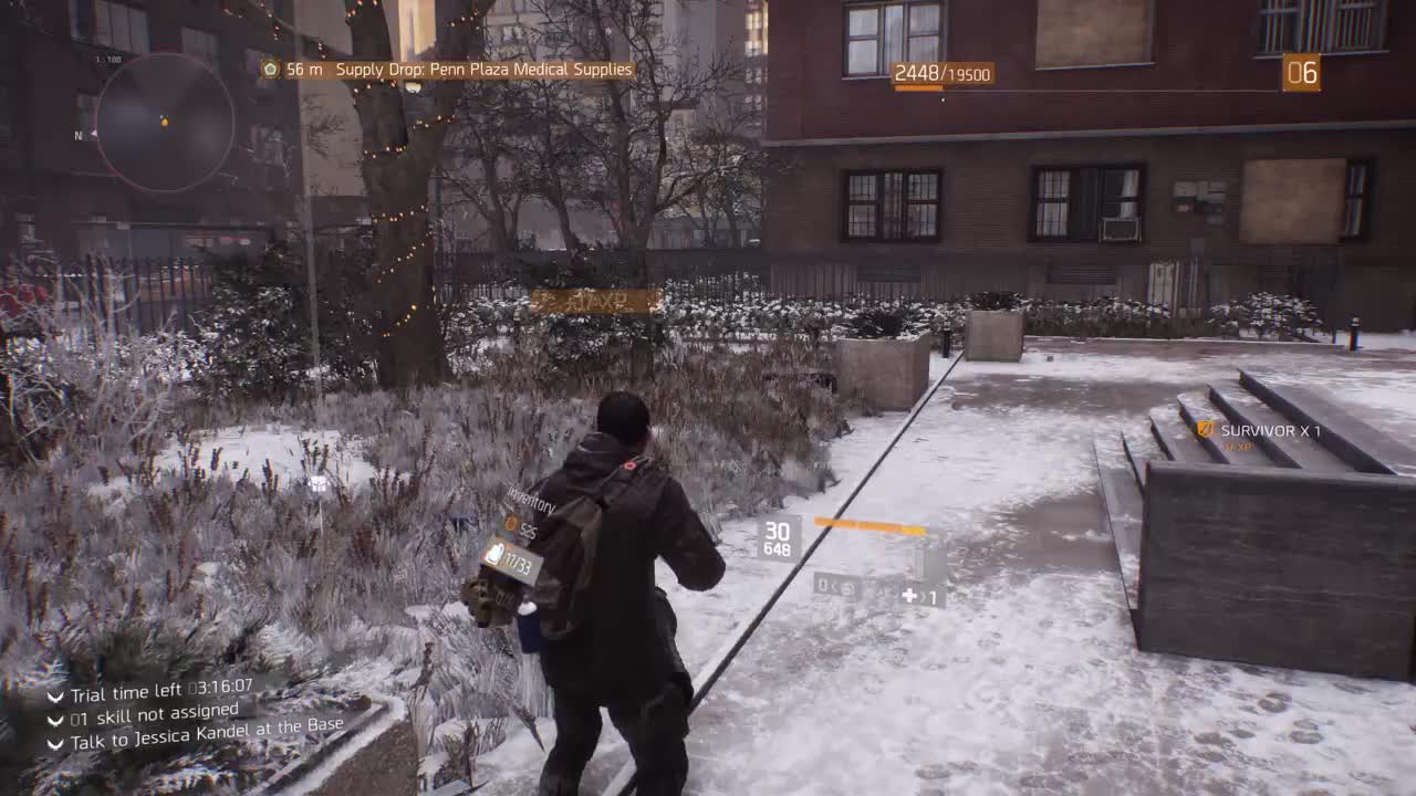Tom Clancy's The Division 2 Snow Fall