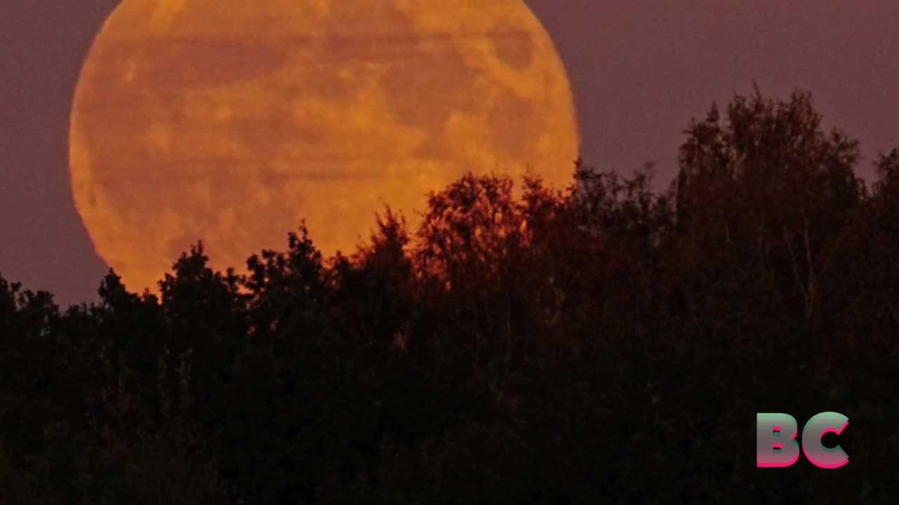 November’s ‘beaver moon’ marks the year’s final supermoon