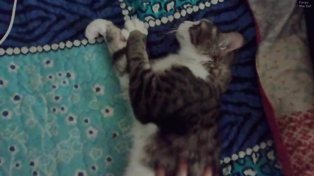 Bite is his middle name