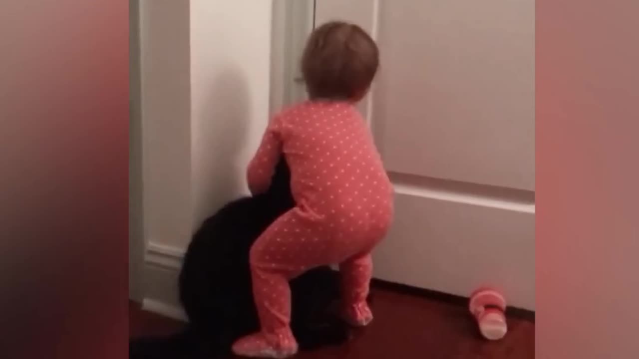 Baby and Cat Fun and Cute - Funny Baby Video