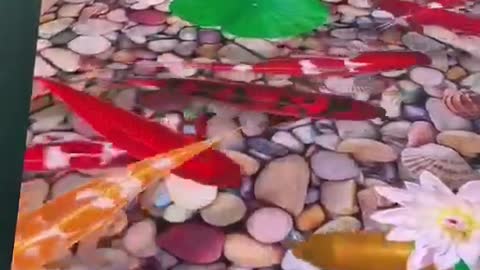 Fish Pond Floor