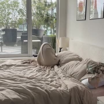 Morning With Doberman Who Likes Wrapping Up In A Blanket