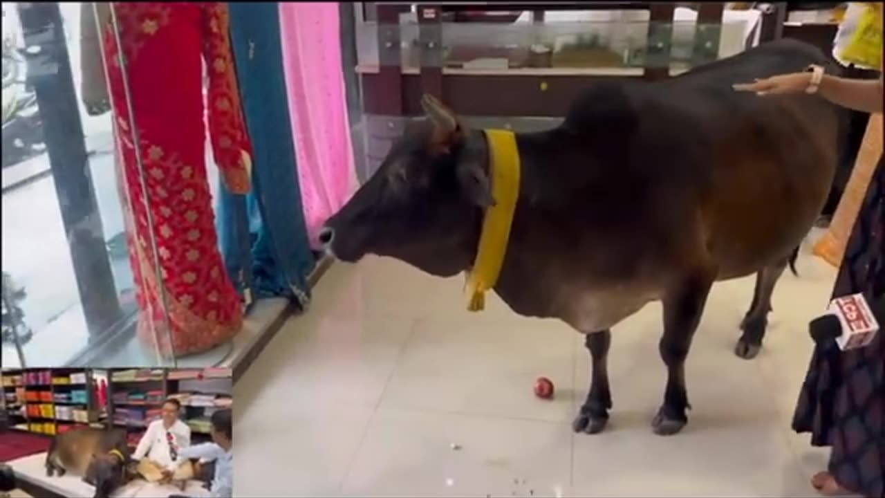 Gaumata