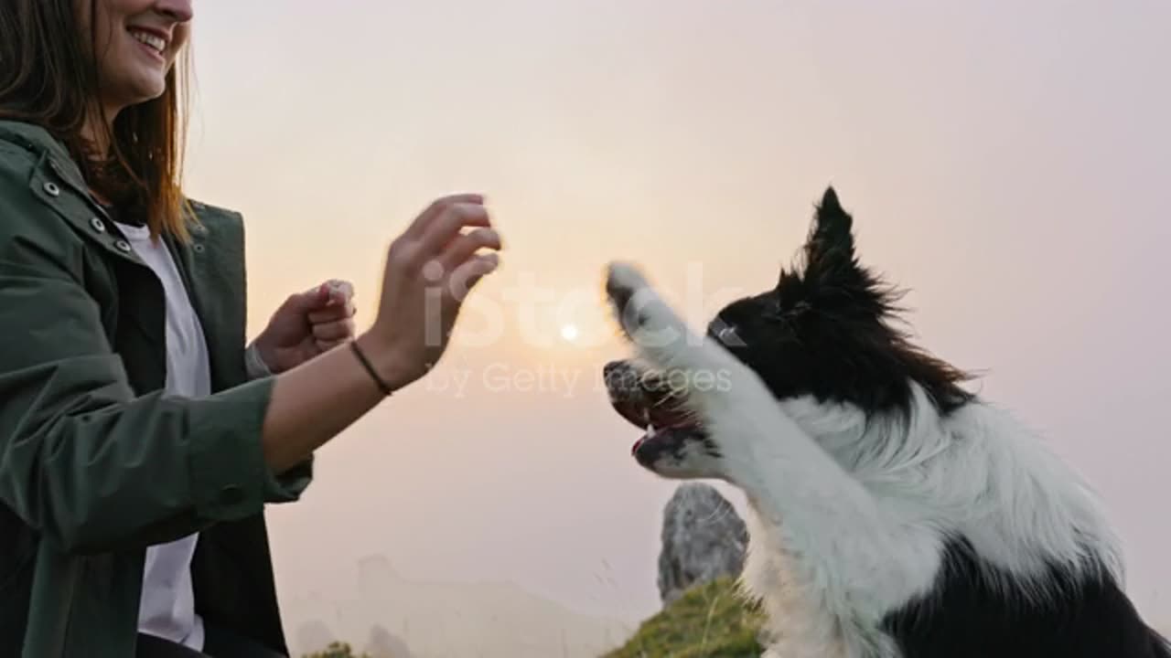 Young woman training her dog to give high five against sky