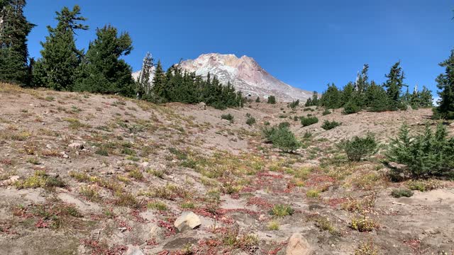 Oregon – Looking up at Glorious Mount Hood – 4K