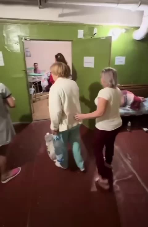 With newborns in the shelter