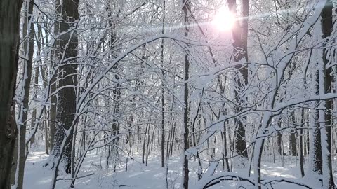 Fresh Snow at Sunrise