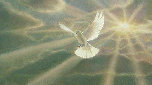 EDIFY YOURSELF B-260