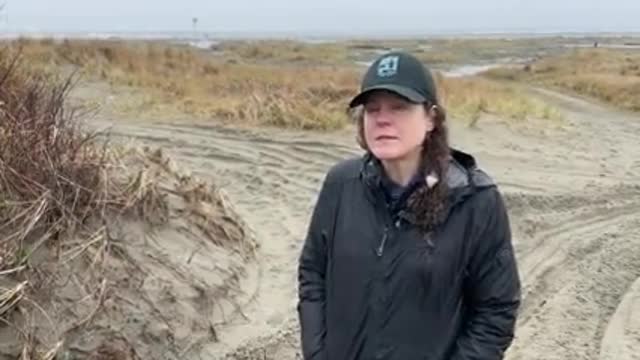 Snowy Plover Conservation in Washington_2