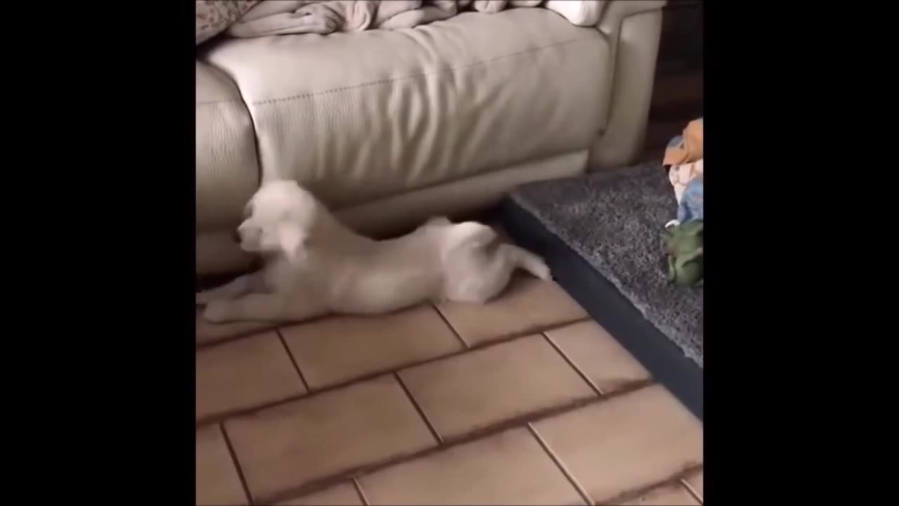 Episode 22 - Cannot stop laughing