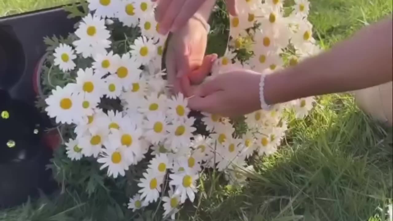 Creative photography tricks with flowers 🌸