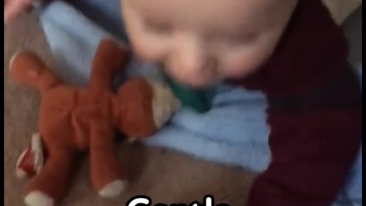 Baby & cat's cute video part - 6