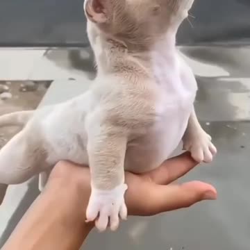 „I am the other dimension“😉🤍