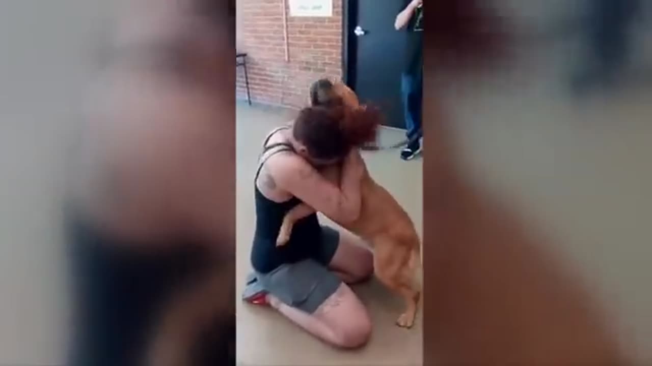 2 YEARS LATER_ Woman finds missing dog while looking for new pet(360P