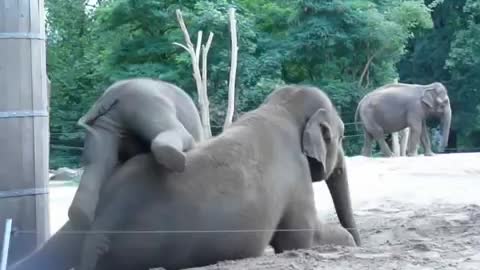 baby with his mother.......