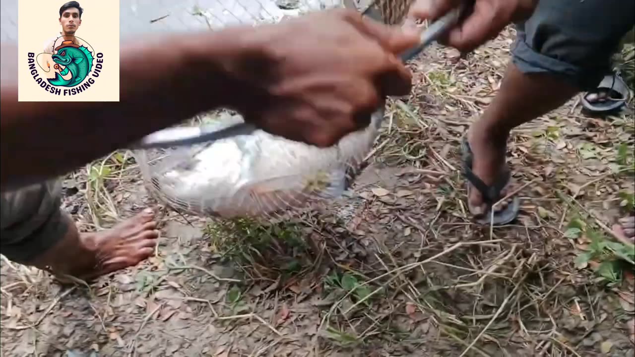 Fishing video