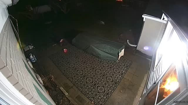 Dog Bolting After Bunny Causes Owner to Fall on Slick Patio