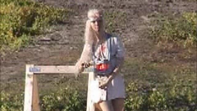 Target Shooting 1