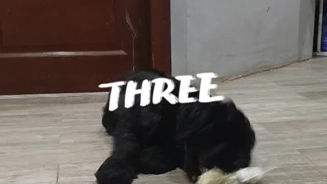 какая прелесть.🥰🥰🥰