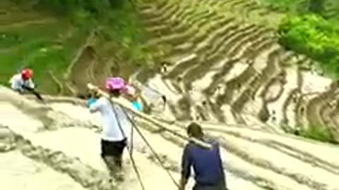 China farming beautiful place nature and relaxing video