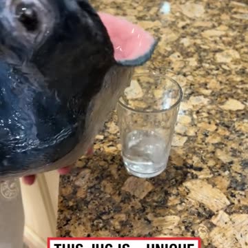 Hilarious Gluggle Jug