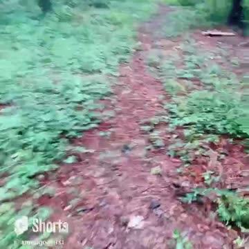 Travelers walking paths least taken #shorts