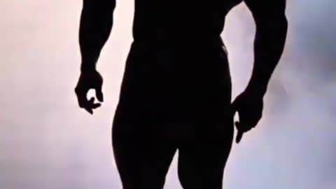 Wwe roman reigns attitude stataus