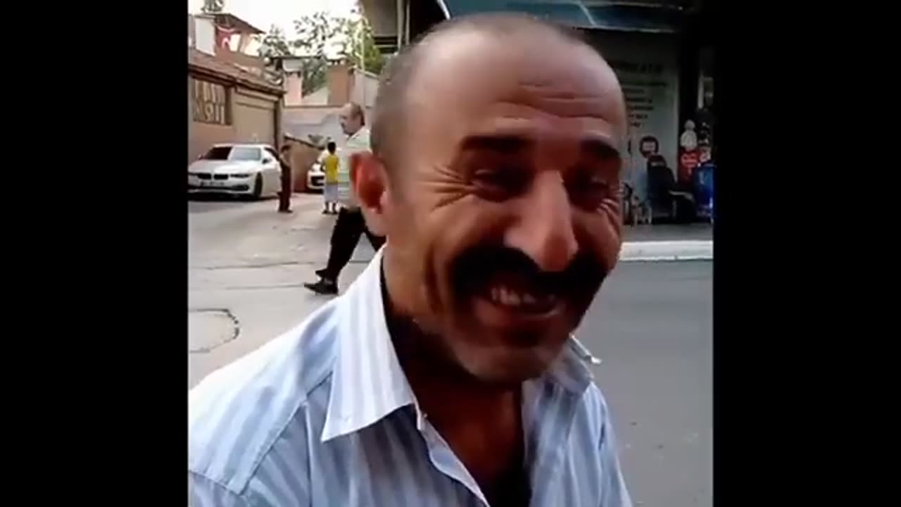 funny animal comp9