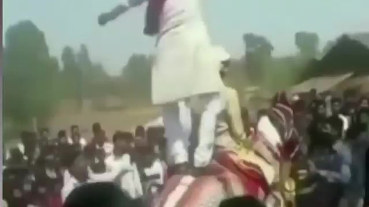 Indian groom fallen from horse funny