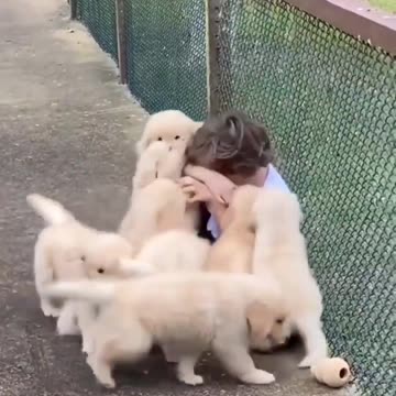 Best Friend Naver Leave