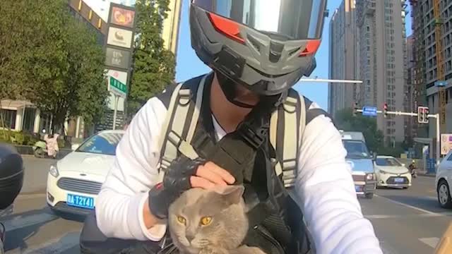 Biker kitty 😍👏🏽