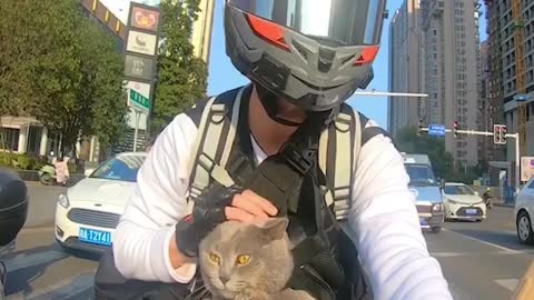 Biker kitty 😍👏🏽