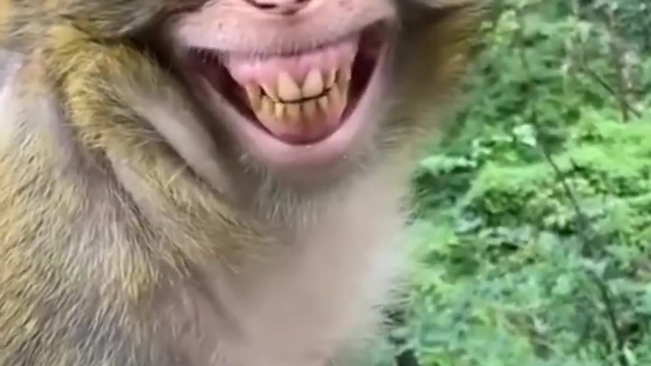 Funny